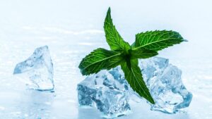 hydration-ice-cubes-mint-water-cultureandcream-blogpost