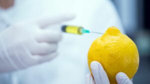 research-syringe-science-scientist-lemon-cloves-cultureandcream-blogpost