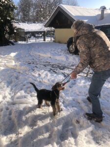 airedale-terrier-welpe-schnee-kaempfen-mann-cultureandcream-blogpost