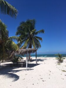 Holbox-Insel-mayariviera-mexiko-hidden-sandstrand-palmen-cultureandcream-blogpost