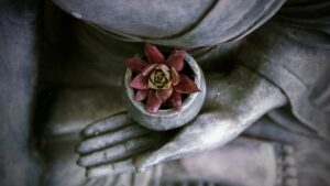meditation-hände-blüte-steinfigur-buddha-cultureandcream-blogpost
