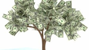 money-tree-dollars-cultureandcream-blogpost
