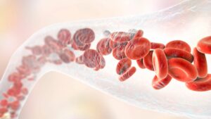 blutplaettchen-blood-cells-red-vein-prp-plasma-cultureandcream-blogpost