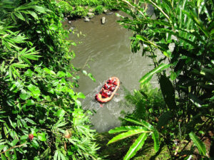 ubud-white-water-rafting-bali-cultureandcream-blogpost