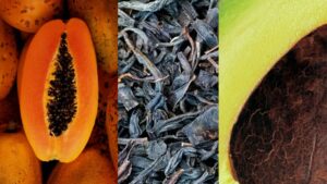 ingredients-inhaltsstoffe-primer-papaya-schwarztee-ferment-avocado-cultureandcream-blogpost