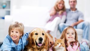 family-hund-dog-kids-joy-livetogether-cultureandcream-blogpost