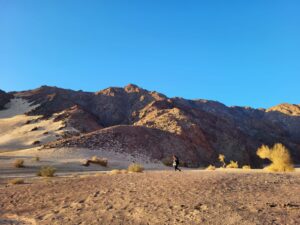 wueste-sinai-desert-egypt-expedition-cultureandcream-blogpost