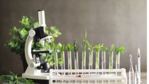 laboratory-cosmetic-reagenzglas-plants-pflanzen-mikroskop-cultureandcream-blogpost