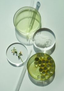 labor-petrischale-ingredient-cosmetic-green-grün-cultureandcream-blogpost