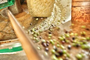 olive-mill-fattoria-la-vialla-tuscany-olive-product-oil-olivenoel-cultureandcream-blogpost