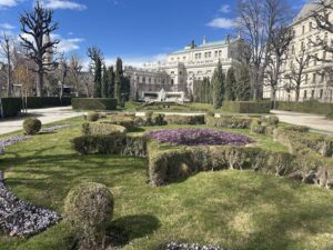 volksgarten-wien-bluete-blooming-spring-cultureandcream-blogpost